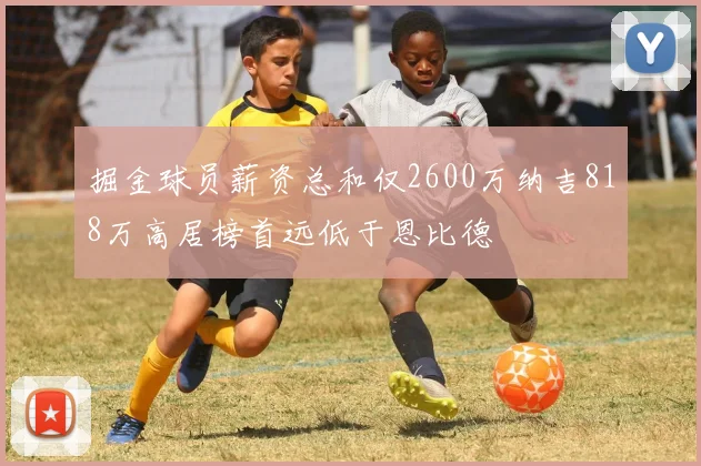 掘金球员薪资总和仅2600万纳吉818万高居榜首远低于恩比德