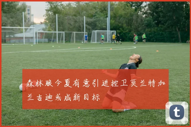 森林狼今夏有意引进控卫莫兰特加兰吉迪或成新目标